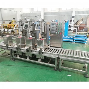 16L香蕉水灌裝機(jī) 蠕動(dòng)泵式 小型液體灌裝機(jī)